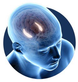 Billionaire Brain Wave free download